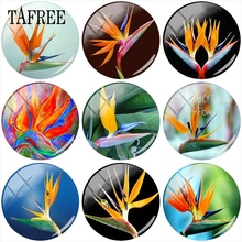 Tafree laranja strelitzia flor 12mm/15mm/16mm/18mm/20mm/25mm redondo foto de vidro demonstração cabochon plana de volta fazendo descobertas 2024 - compre barato