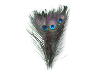 50 unids/lote al por mayor 25-30cm de 10-12 pulgadas hermosa plumas naturales de pavo real ojos para DIY Ropa Decoración de fiesta de boda 2024 - compra barato