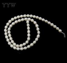 Alta Qualidade 4-5mm Pérolas Naturais de Água Doce de Arroz Branco Pérola Jóias Loose Beads Para DIY Colar Bracelat fazendo Encontrar 2024 - compre barato