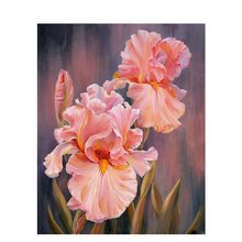 Pintura por números diy, tela de 40x50 50x65cm, encantador, flor dos sonhos vermelha, flores, decoração de casamento, arte, imagem de presente, dropshipping 2024 - compre barato