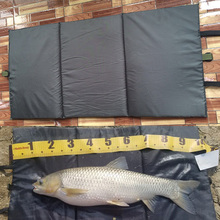 Wifreo 1PCS 95CM X 46CM Small Cloth Unhooking Mat for Carp Fishing Foldable for Fish Care Protection 2024 - buy cheap