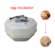 Incubadora automática de huevos, controlador de temperatura Digital, 60 huevos 2024 - compra barato