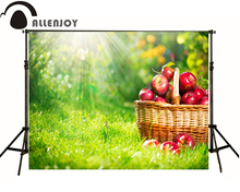 Allenjoy primavera grama chá de fraldas aniversário fundo fotográfico cestas de frutas luz crianças princesa photo studio pano de fundo 2024 - compre barato