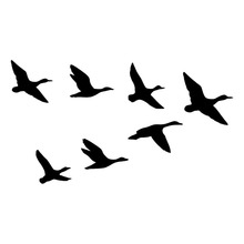 20.3*11.4CM A Group Of Wild Duck Funny  Decal Hunting Lover Car Sticker Black/Silver S1-2391 2024 - buy cheap