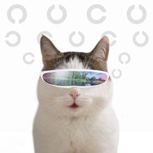 Funny Eye-wear Photography Cat Glasses Cool Sunglasses For cats Halloween Cosplay Photos Props Pet Grooming Accessories Supplies 2024 - buy cheap