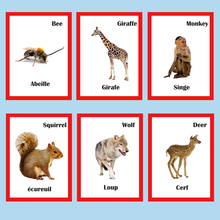 Tarjetas educativas Montessori para niños, tarjetas Flash de bolsillo para Aprendizaje de palabras en francés/inglés, animales, 30 unidades 2024 - compra barato