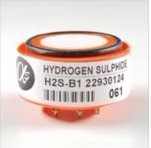 Guaranteed 100% H2S-B1 Hydrogen Sulfide Sensor 2024 - buy cheap