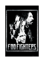 Foo Fighters Poster Custom Canvas Poster Art Home Decoration Cloth Fabric Wall Poster Print Silk Fabric 2024 - buy cheap