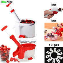 Quality Cherry Pitter Seed Remover Machine Fruit Nuclear Corer With Container Kitchen Accessories Gadgets Tool For Kitchen Buy Cheap In An Online Store With Delivery Price Comparison Specifications Photos And Customer