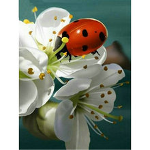 DIY Diamond Embroidery Ladybug and flower 5D Diamond Painting Cross Stitch Mosaic Pattern Full square Rhinestone Home Decor 2024 - buy cheap