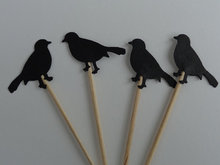 Pájaro negro Cuervo cupcake toppers, despedida de soltera boda compromiso comida selecciones cumpleaños y despedida de soltera decoraciones de fiesta 2024 - compra barato