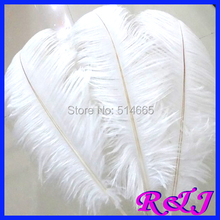 EMS Free shipping Cheap ostrich feather 100pcs 22-24 inches 55-60cm White Ostrich plumage ostrich plume 2024 - buy cheap