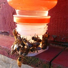 30 Pcs Beekeeping Tools Drinking Fountain Bee Queen Bee Drinking Water Equipment Bee Tools 2024 - buy cheap