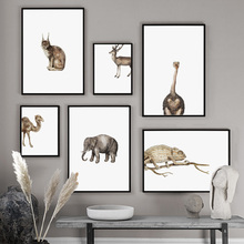 Pintura em tela de parede de animal, elefante, avestruz, coelho, tela de aquarela, arte, posteres e impressões nórdicas, imagens de parede para decoração de sala de estar 2024 - compre barato