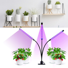 LED Fitolampy USB Grow Light Lamp For Plants Phyto Lamp Fitolamp Full Spectrum Seedlings Plant Lamps With Controller For Home 2024 - buy cheap