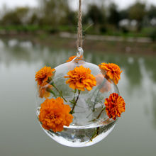 Прозрачная подвесная стеклянная ваза в форме маленького шара, террариумные растения, ваза, контейнер, сделай сам, свадебное украшение для дома 2024 - купить недорого
