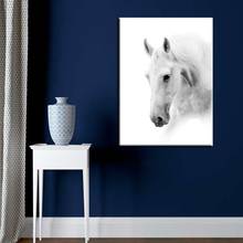 Black and White Horse head Wall Art Canvas Painting for Living Room Wall Decor Animal Artwork Picture Canvas Prints Dropshipping 2024 - buy cheap