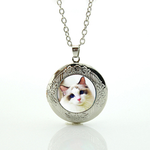 Adorável gatinho foto medalhão colar de vidro cabochon cúpula filhote de cachorro cão pastor alemão pingente colar animal jóias n691 2024 - compre barato