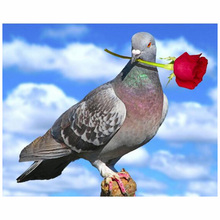 Diy Diamond Painting Needlework Pigeon With Rose Flower Full Square Drill Mosaic Diamond embroidery Painting  WZ 2024 - buy cheap