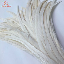 ChengBright Wholesale 50PCS 30-35CM New Beige Rooster tail Feathers For Decoration Craft Feather Christma Diy Pheasant Feather 2024 - buy cheap