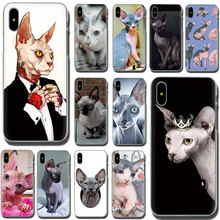 Жесткий чехол для телефона sphynx cat для iPhone 11 Pro 6 6S Plus 7 8 Plus X XS XR XS Max 2024 - купить недорого