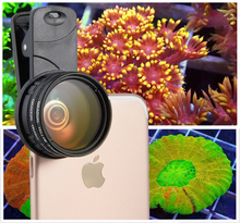 Teléfono móvil de alta definición coral mira el espejo, lente fotográfica de un acuario coral. Un acuario de coral mira el espejo 2024 - compra barato