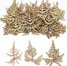 120pcs 3-7cm Pressed Dried Fern Leaf Leaves Plants Herbarium For Jewelry Making Postcard Frame Phone Case Craft DIY 2024 - buy cheap