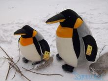 high quality goods cute penguin plush toy ,Christmas gift h08 2024 - buy cheap