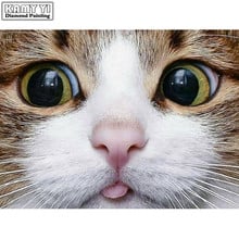 5D DIY Diamond embroidery Cross stitch Cute cat Full Square/Round Diamond mosaic Diamond painting decor  HYY 2024 - buy cheap