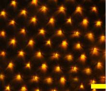 2Mx3M 200LED Curtain Net Lights LED web light mesh fairy string Twinkle lamp Christmas Xmas wedding party Garland garden Decor 2024 - buy cheap