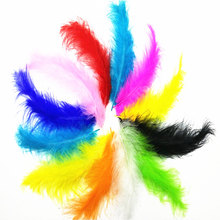 Beautiful Turkey Feathers 100-500pcs/lot 10-15 cm 4-6Inch DIY Wedding Decoration Plumes Clothing Accessories Feathers for Crafts 2024 - buy cheap