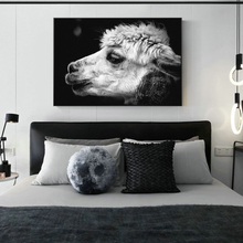 Quadros alpaca em tela para fotografia, arte e impressão em animais, para sala de estar, preto e branco, pinturas em tela, decoração nórdica para parede 2024 - compre barato