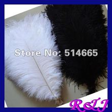 EMS Free shipping Cheap ostrich feather 200pcs 18-20 inches 45-50cm white/black Ostrich plumage ostrich plume 2024 - buy cheap