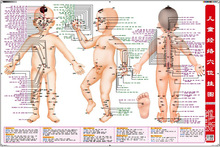 Children'S Massage, Acupuncture Points, With Book Acupoint Wall Charts, Standards, Children'S Meridian Points Wallcharts 2024 - buy cheap