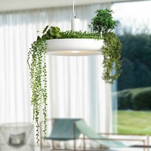 Simple Aluminum Bonsai Droplight Modern LED Pendant Light Fixtures For Dining Room Bar Hanging Lamp Home Lighting Lamparas 2024 - buy cheap