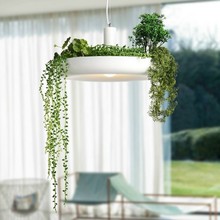 Bonsai De Alumínio simples Droplight Luz Moderno Pingente LEVOU Luminárias Para Sala De Jantar Bar Lâmpada Pendurada Iluminação Home Lamparas 2024 - compre barato