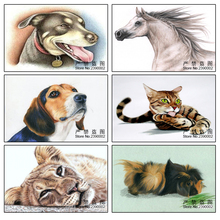 Coleção de animais 5d pintura completa diamante imagem mosaico bordados pinturas de strass cavalo gato cachorro leão panda 2024 - compre barato