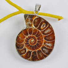 Natural Ammonite Fossil Stone Inlay GEM Pendant Jewelry Fashion S560 2024 - buy cheap