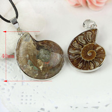 free shipping 1Pcs 76-61 Natural Ammonite Fossil Shell Pendant beads appox 40mm Jewelry For Necklace silver-plated 2024 - buy cheap