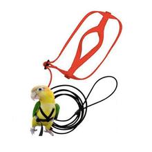 Lanlan anti-mordida voando treinamento corda papagaio pássaro pet trela para cor aleatória ao ar livre 2024 - compre barato