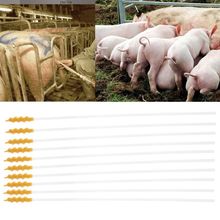 Porcos Ovelhas 10 pcs Descartável Cateter de Inseminação Artificial Raça Tubo Haste 2024 - compre barato