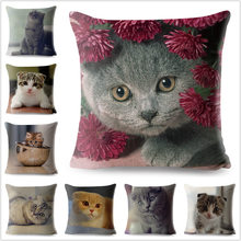 Cute Animal Cushion Cover 3D Scottish Fold Cat Pillow Covers 45*45cm Linen Pillow Case Car Sofa Home Decor Square Pillowcase 2024 - buy cheap