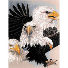 Full Square drill 5D DIY Diamond embroidery Handsome eagle Diamond Painting Cross Stitch Rhinestone Mosaic decor gift 2024 - buy cheap