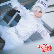 new anime Free Shipping Cells at Work! Neutrophil White Blood Cell Suit Anime Cosplay Costume/Cosplay Wig 2024 - buy cheap