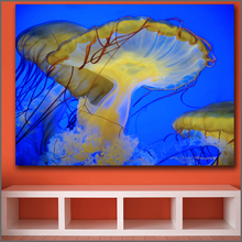 Large size Printing Oil Painting Wandering jellyfish wall art canvas prints pictures for living room and bedroom No Frame 2024 - buy cheap