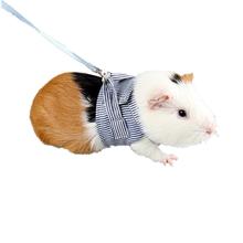 Hobbylane corda de tração para hamster, treinamento ao ar livre de algodão macio, roupas para hamster cobaia 2024 - compre barato