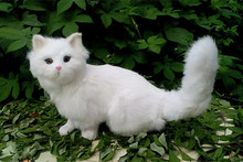 Simulação gato branco bonito 26x28 cm modelo polietileno & peles de gato modelo de decoração para casa adereços, modelo presente d389 2024 - compre barato