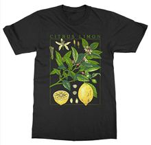 Camiseta de manga corta con cuello redondo, playera de limón, estampado de jardín botánico, arte, flor, fruta, Growfishing 2024 - compra barato