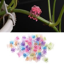 60Pcs Plastic Plant Fix Clips Orchid Clips Garden Support Clips Orchid Grower Flowers Fruit Vine Support 2024 - buy cheap
