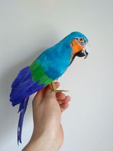 simulation parrot bird model foam&blue feathers parrot 30cm handicraft home garden decoration gift p0306 2024 - buy cheap